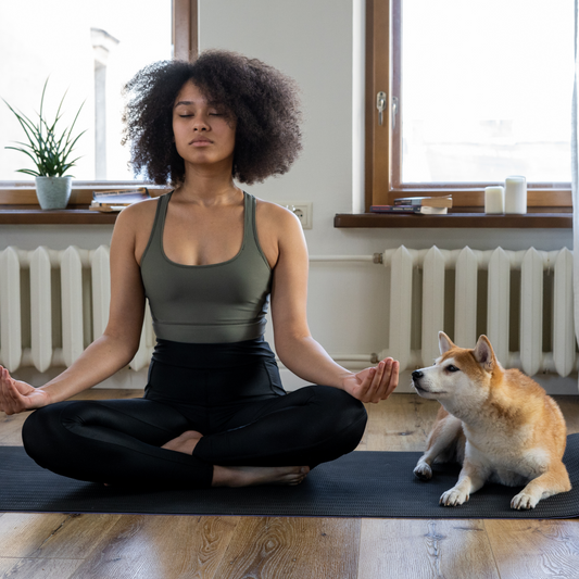Meditation for stress and anxiety